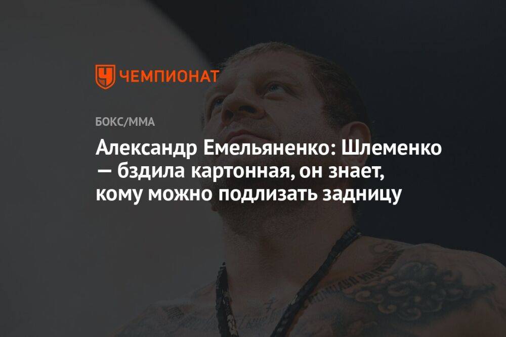 Александр Емельяненко: Шлеменко — бздила картонная, он знает, кому можно подлизать задницу