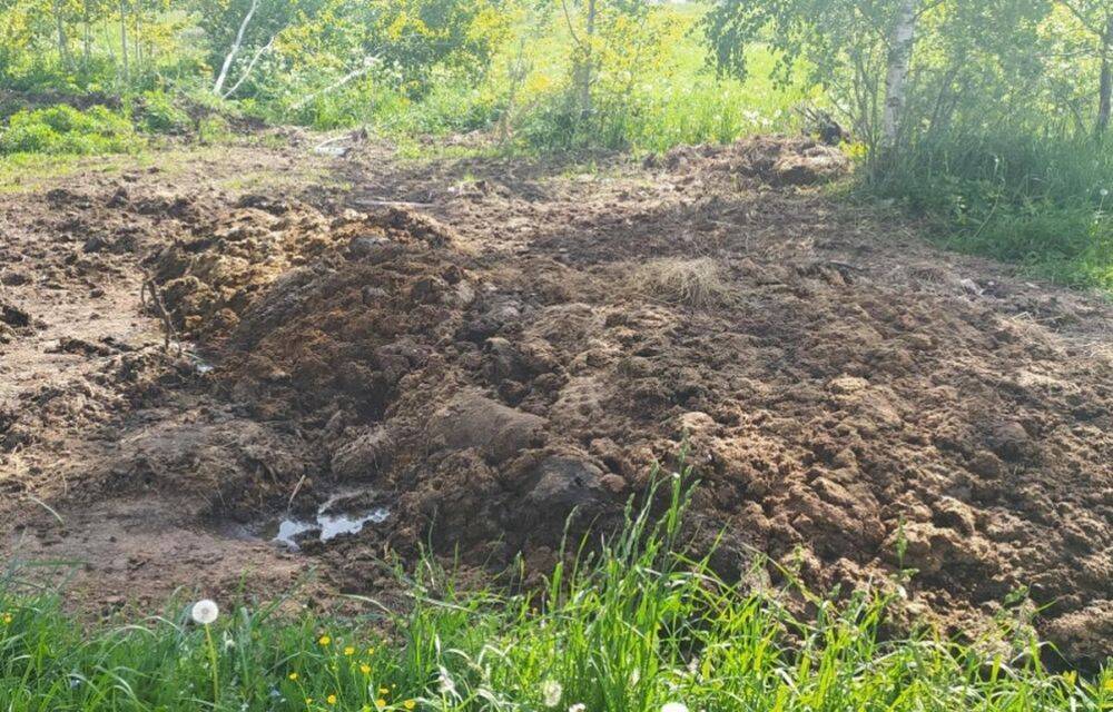 Гору навоза, навредившую почве, обнаружили в Вышнем Волочке Тверской области