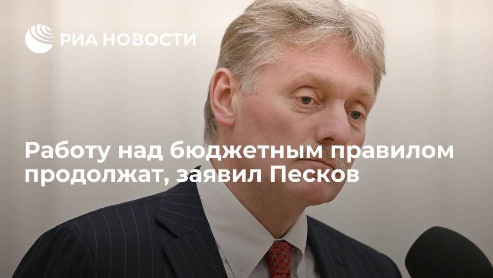 Пресс-секретарь президента Песков: работу над бюджетом и бюджетным правилом продолжат