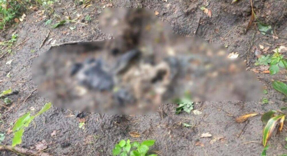 Под Бучей обнаружили тела еще двух жертв российской агрессии