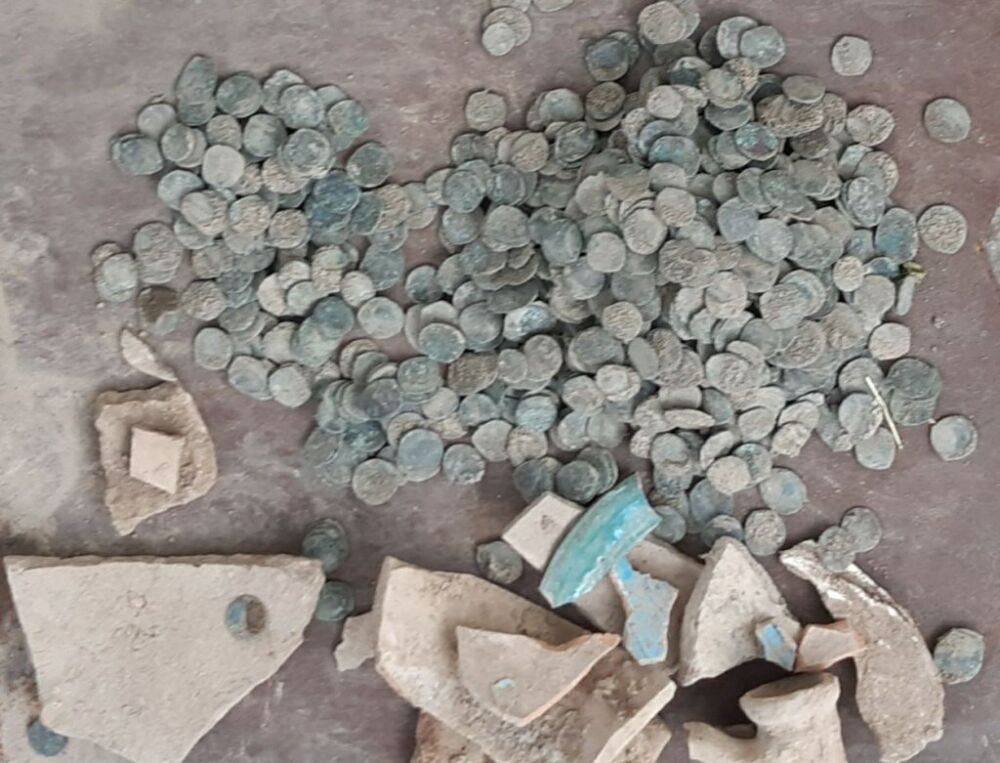Жительница Ташкентской области нашла в огороде древний клад примерно из тысячи монет