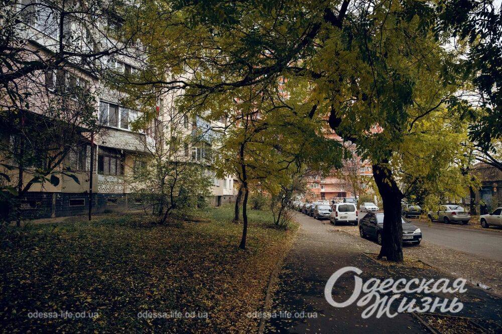 Погода в Одессе: прогноз на пятницу, 23 сентября 2022 | Новости Одессы