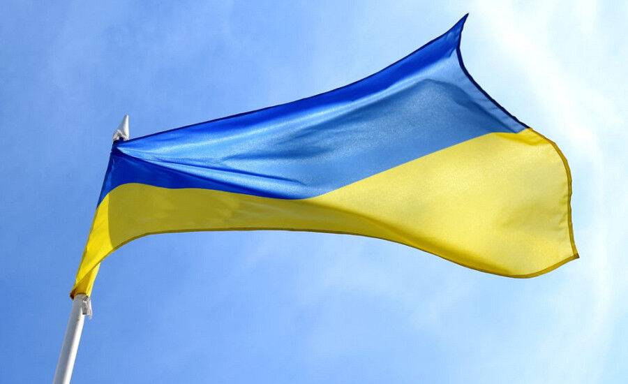 Эстонца за поджог украинского флага приговорили к условному сроку