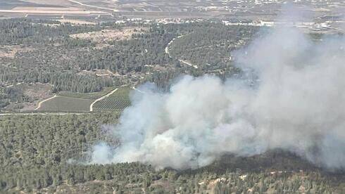 Пожары на севере Израиля и возле Иерусалима: горят леса, туристы эвакуированы