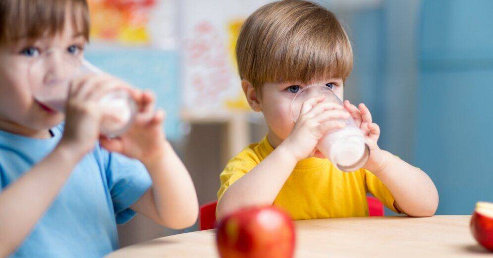 Латвийские дети продолжат получать бесплатное молоко, фрукты и овощи