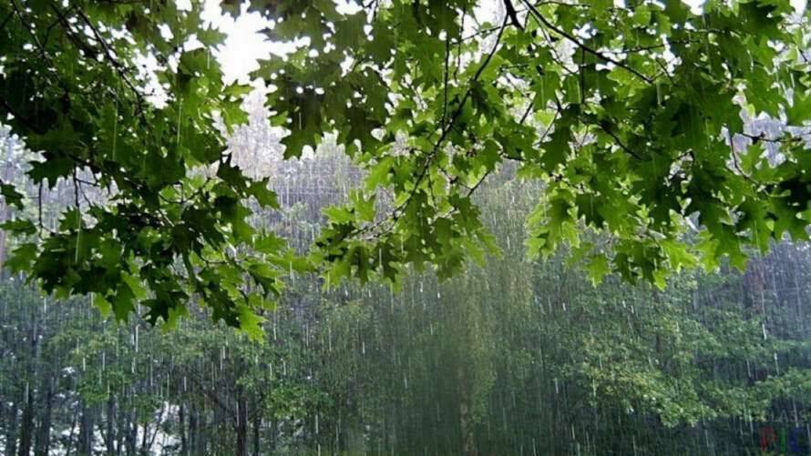 Синоптик розповіла, коли до України прийдуть дощі