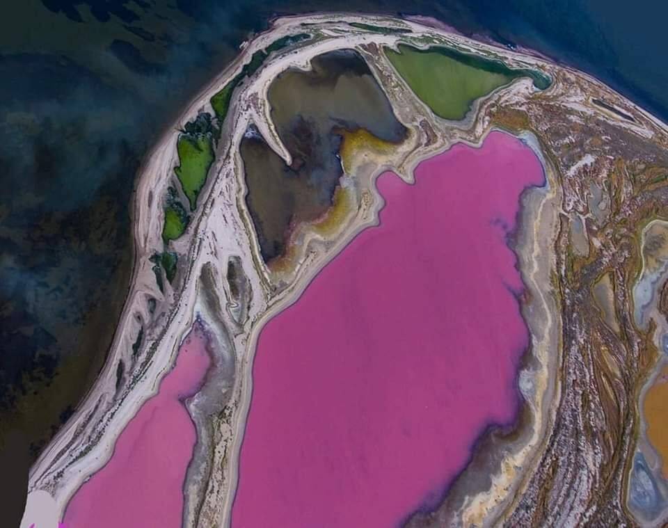 В Одесской области высохли уникальные цветные озера