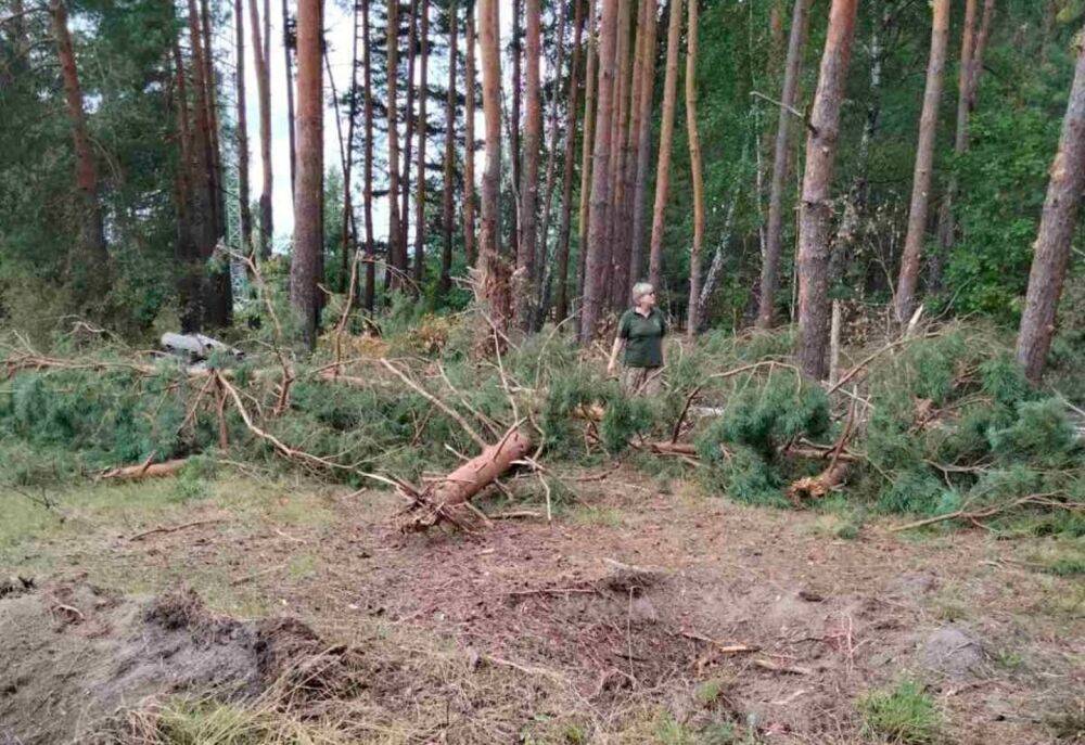 Госэкоинспекция: российские войска обстреляли Национальный природный парк в Сумской области