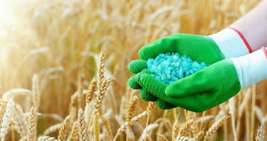 Россия ведет работу с ООН по доступу российской сельхозпродукции на мировые рынки