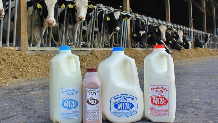 С чем мировой молочный рынок пришел в 2023 год
