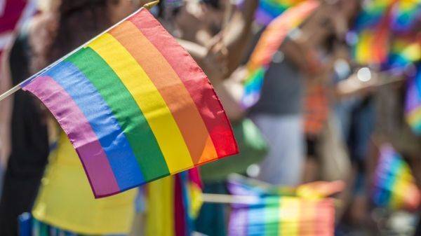 В России возбудили первое дело о “пропаганде ЛГБТ” – за “Лето в пионерском галстуке”
