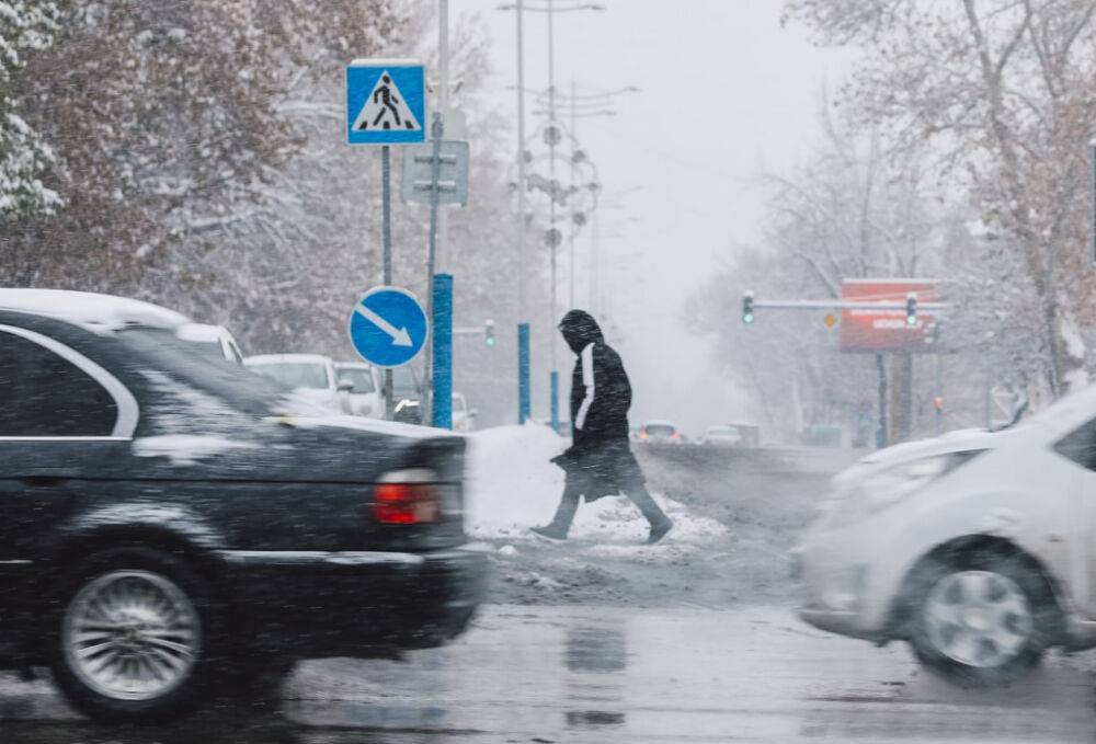 В Ташкенте дерево чуть не придавило коммунальщика, расчищавшего дорогу. Видео