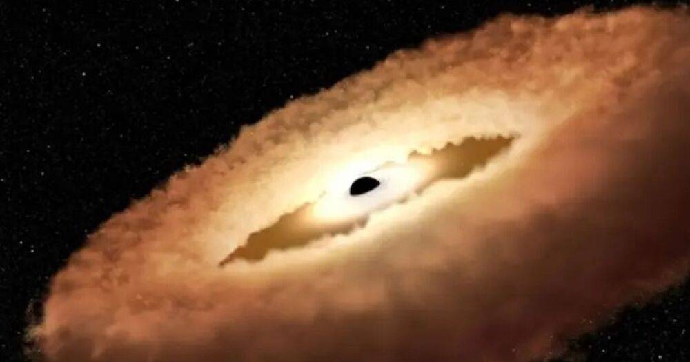 Космический телескоп Хаббл увидел, как черная дыра "съедает" звезду и превращает ее в пончик (видео)