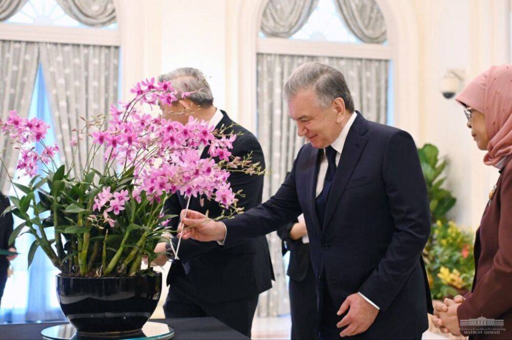 Сингапурцы назвали новый сорт орхидеи в честь Мирзиёева. Фото