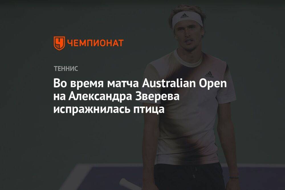 Во время матча Australian Open на Александра Зверева испражнилась птица