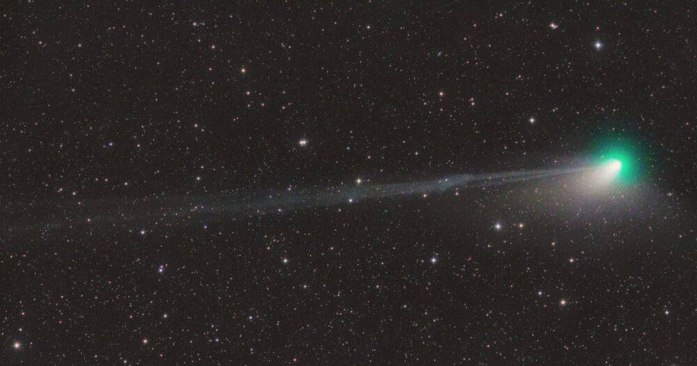Появилось изображение кометы, которая прилетает раз в 50 тыс. лет: Солнце "оторвало" ее хвост (фото)