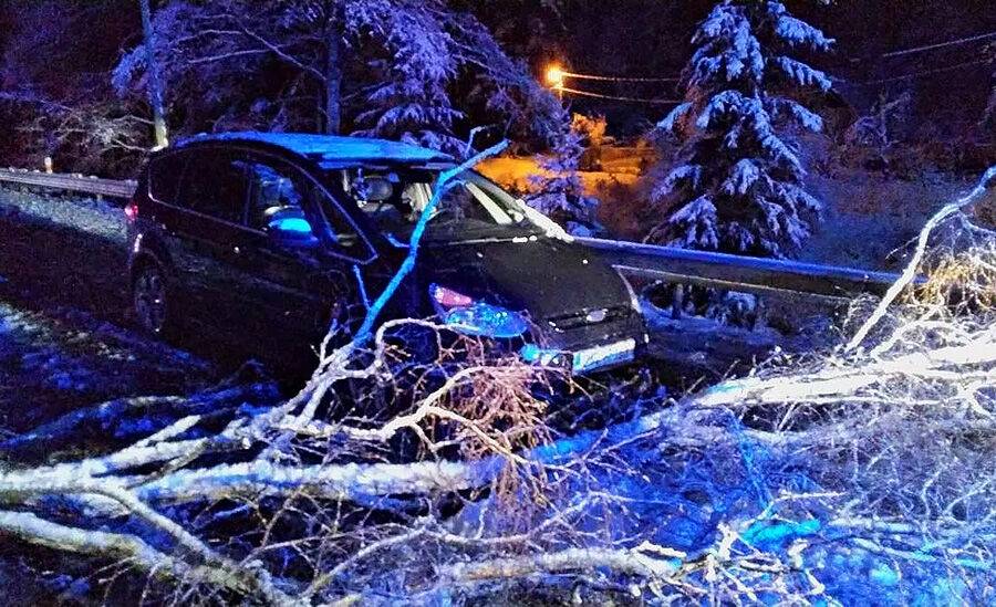 В Чехии дерево упало на проезжавшую машину: водитель погиб