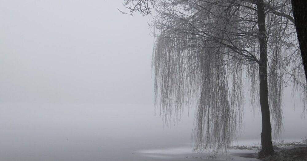 Погода в Украине на 24 января: Местами туман, в некоторых регионах до -10° (КАРТА)