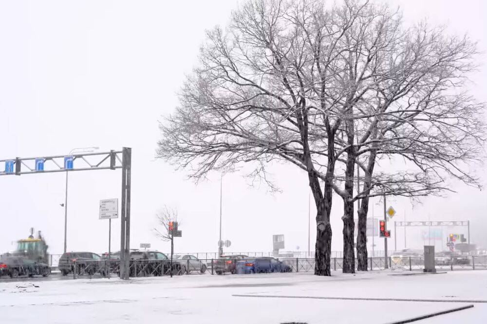 Холод, снег, туман и опасное погодное явление: синоптики дали прогноз на пятницу, 27 января
