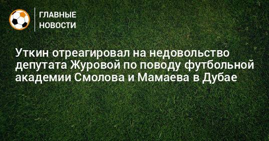 Уткин отреагировал на недовольство депутата Журовой по поводу футбольной академии Смолова и Мамаева в Дубае