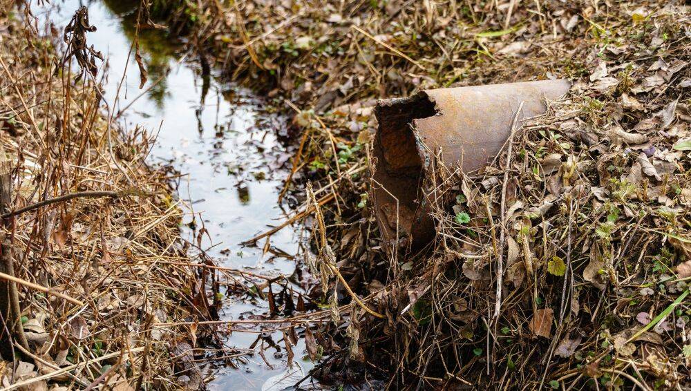 Главу Калининского района оштрафовали за игнорирование решения суда об очистке сточных вод