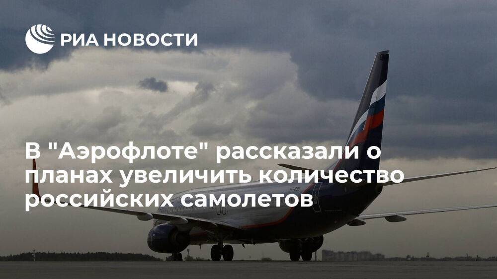 Александровский: парк "Аэрофлота" будет на 70 процентов состоять из российских самолетов