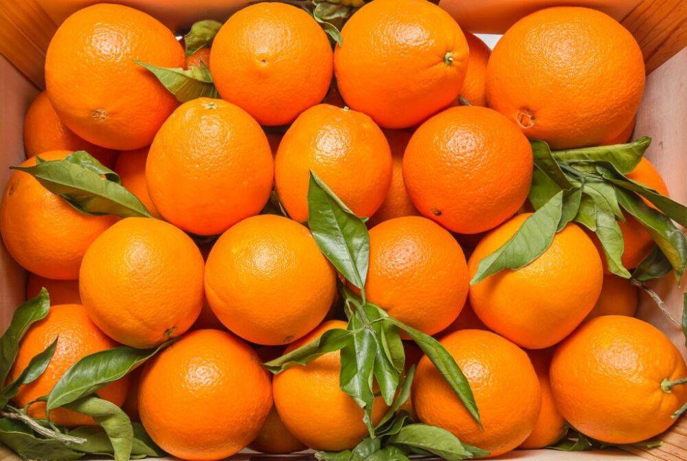 В Узбекистане за последние три недели апельсины подорожали на треть