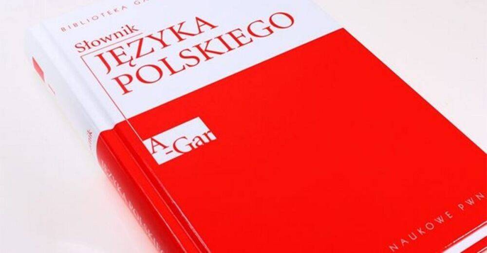 Польский язык намерены включить в список предметов ВНО