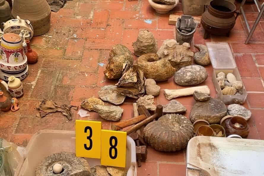Іспанська поліція вилучила сотні археологічних артефактів