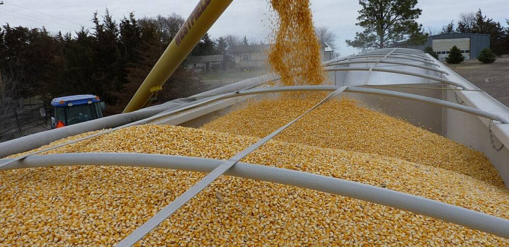 За 11 місяців 2022 року Україна експортувала зерна на $8,1 млрд