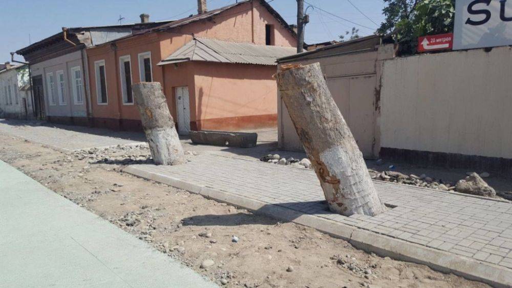 Борьба за парки, или бесконечное сражение с застройщиками в Ташкенте