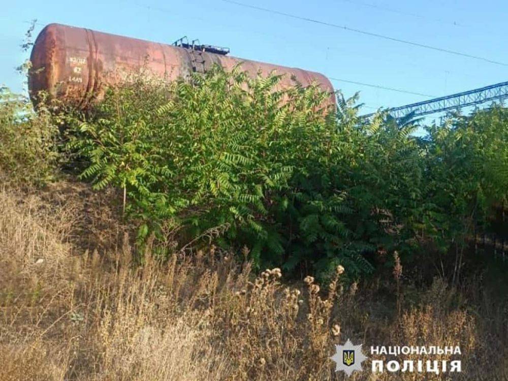 В Одесской области чуть не погиб ребенок из-за селфи | Новости Одессы