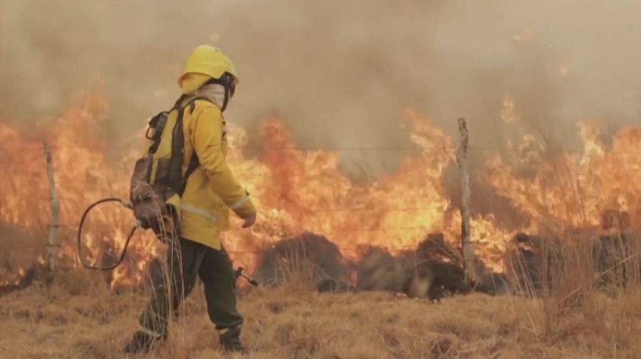 Пожары в Аргентине – в провинции Кордова пылают леса, огонь стремительно распространяется