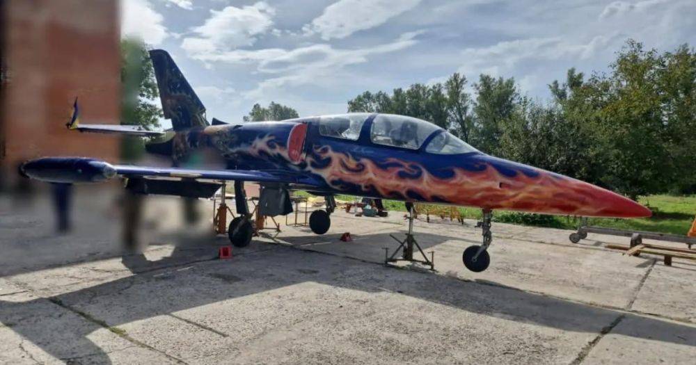 "Был моей мечтой": украинский предприниматель отдал свой самолет ВСУ (фото)