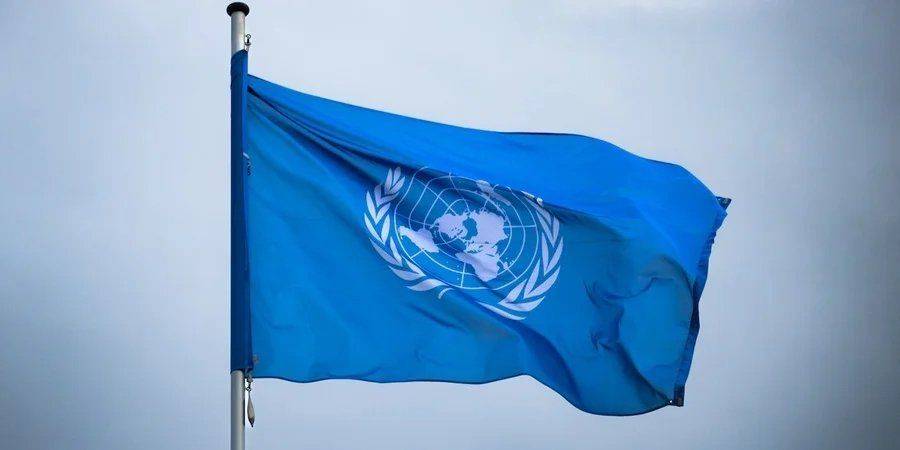 Новые выплаты от ООН: кто и как может получить помощь — на сколько увеличили выплаты