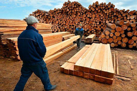 Казахстан остановил транзит продуктов деревопереработки из России на рынки стран региона