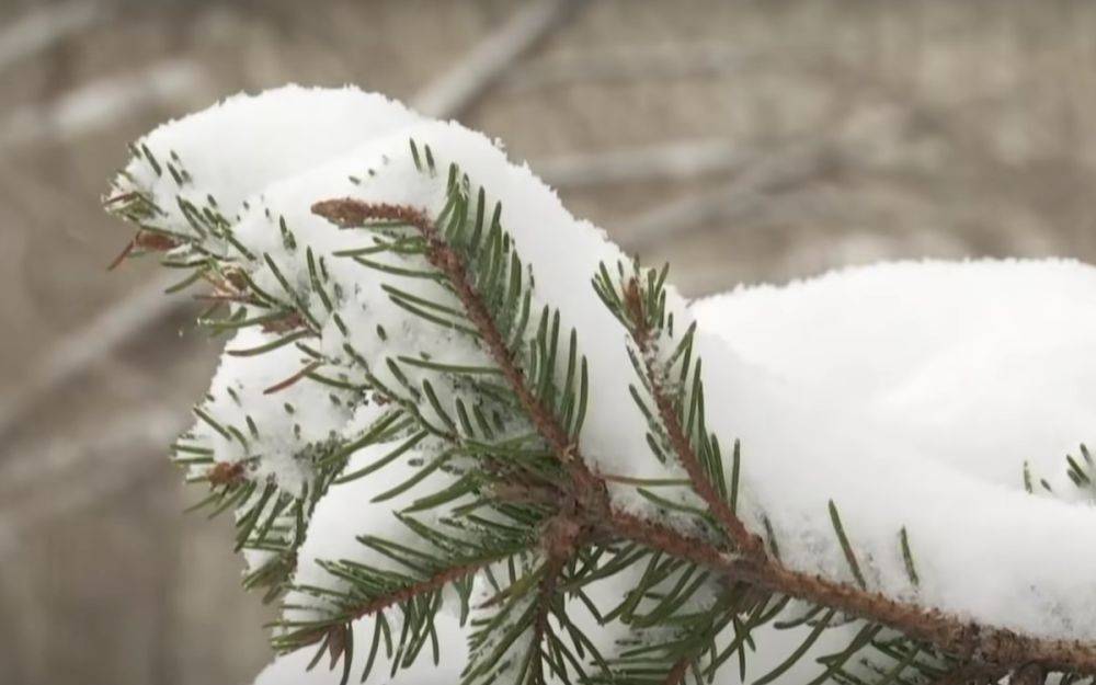 В Украину пришел первый снег с морозами. Появились фото