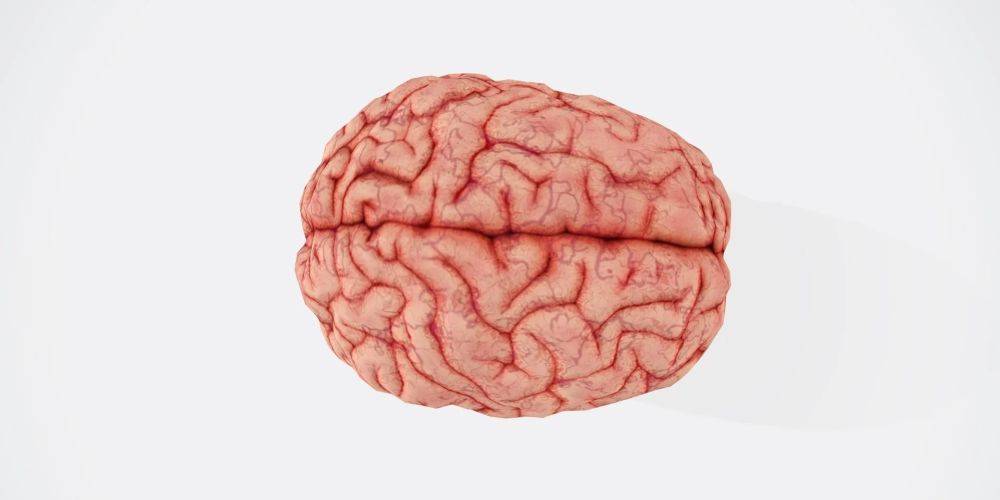 Вселенная в голове. Ученые создали огромную карту человеческого мозга, которая объясняет происхождение ряда психических расстройств