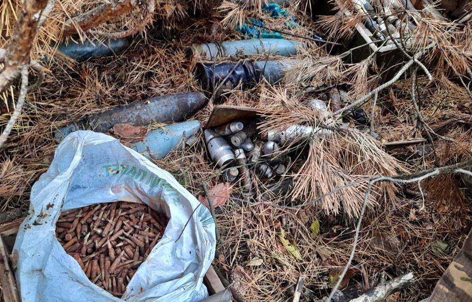 В лесу на Житомирщине нашли арсенал боеприпасов - фото