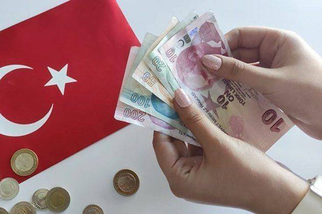 Эксперт Эрчин назвал ожидаемым рост доллара до 30 лир к концу года в Турции