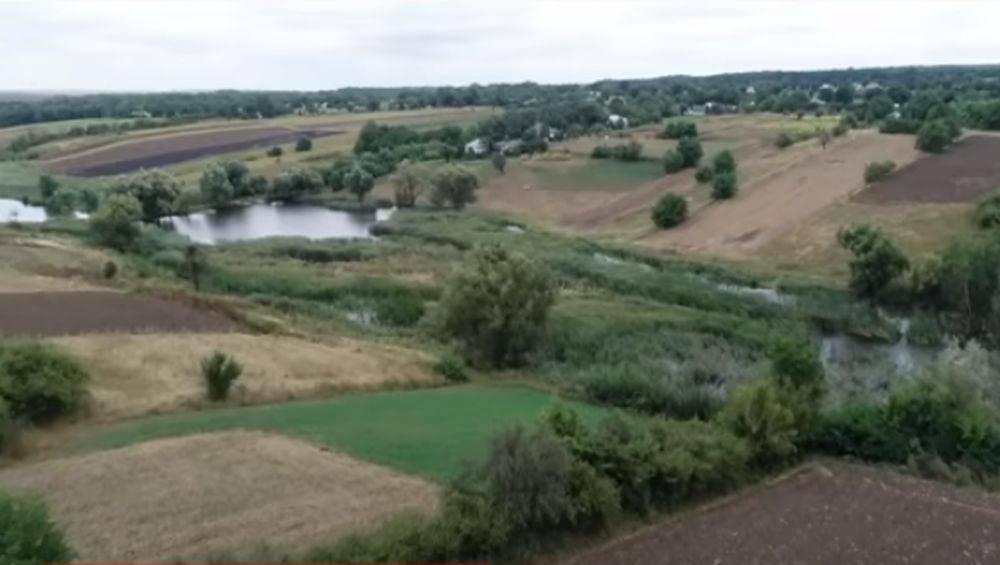 Золотая земля: озвучены новые цены за гектар по всем областям Украины