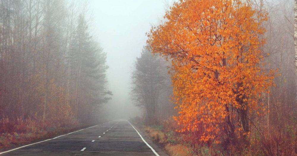 Погода в Украине 24 октября: утром туман, местами пройдут дожди (КАРТА)