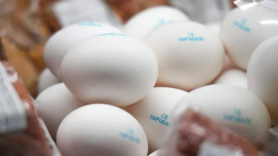 Минсельхоз предложил запретить экспорт яиц на полгода