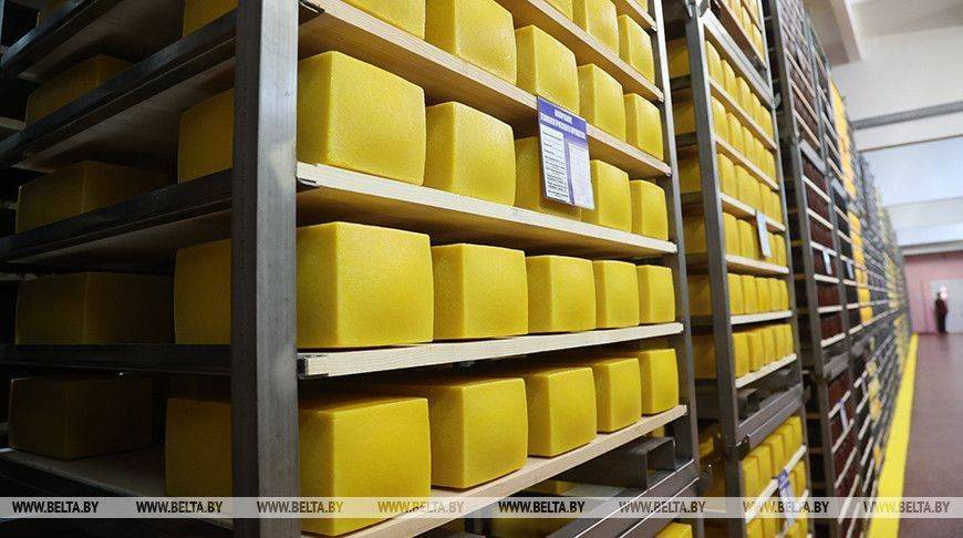 Эксперт: каждый четвертый килограмм сыра, который продается в России, - белорусского производства