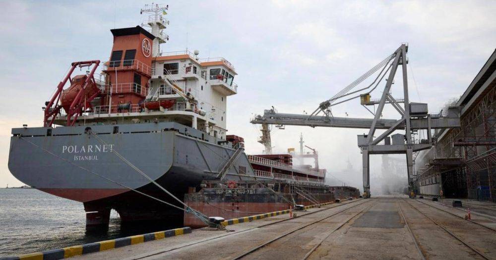 В портах более 20 судов: Мининфраструктуры опровергло остановку "зернового коридора"