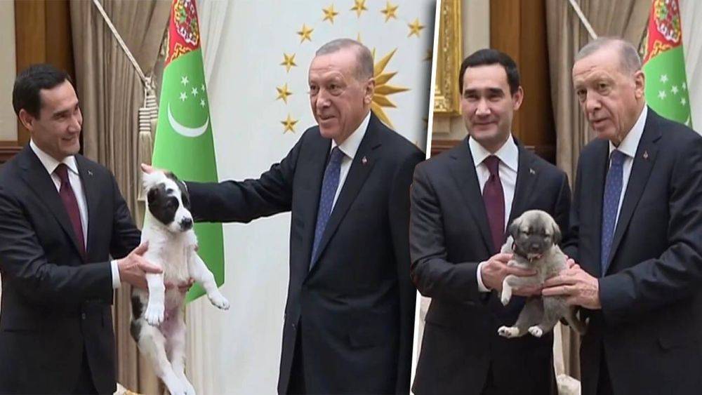 С.Бердымухамедов и Эрдоган обсудили поставки газа и электроэнергии, палестино-израильский конфликт и обменялись щенками