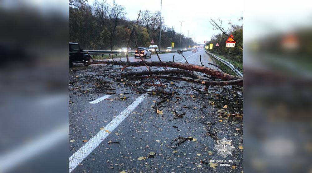 Непогода в Киеве 28 октября – ветер ломал деревья и сносил свалки – фото и видео