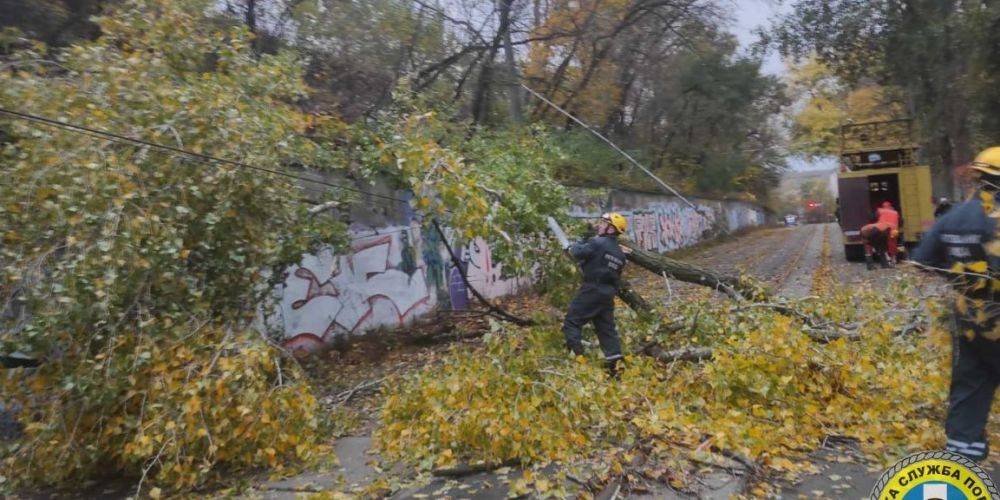 В Киеве ураганный ветер повалил или повредил почти 600 деревьев, движение транспорта на нескольких улицах затруднено