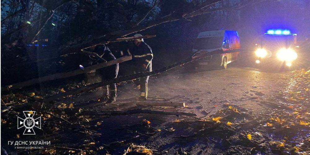 Больше всего пострадали три области. В результате штормовой погоды в Украине погибли уже четыре человека, в сотнях населенных пунктов нет света