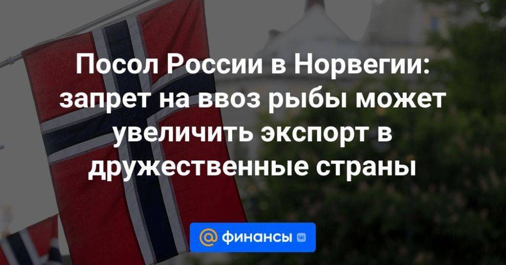 Посол России в Норвегии: запрет на ввоз рыбы может увеличить экспорт в дружественные страны
